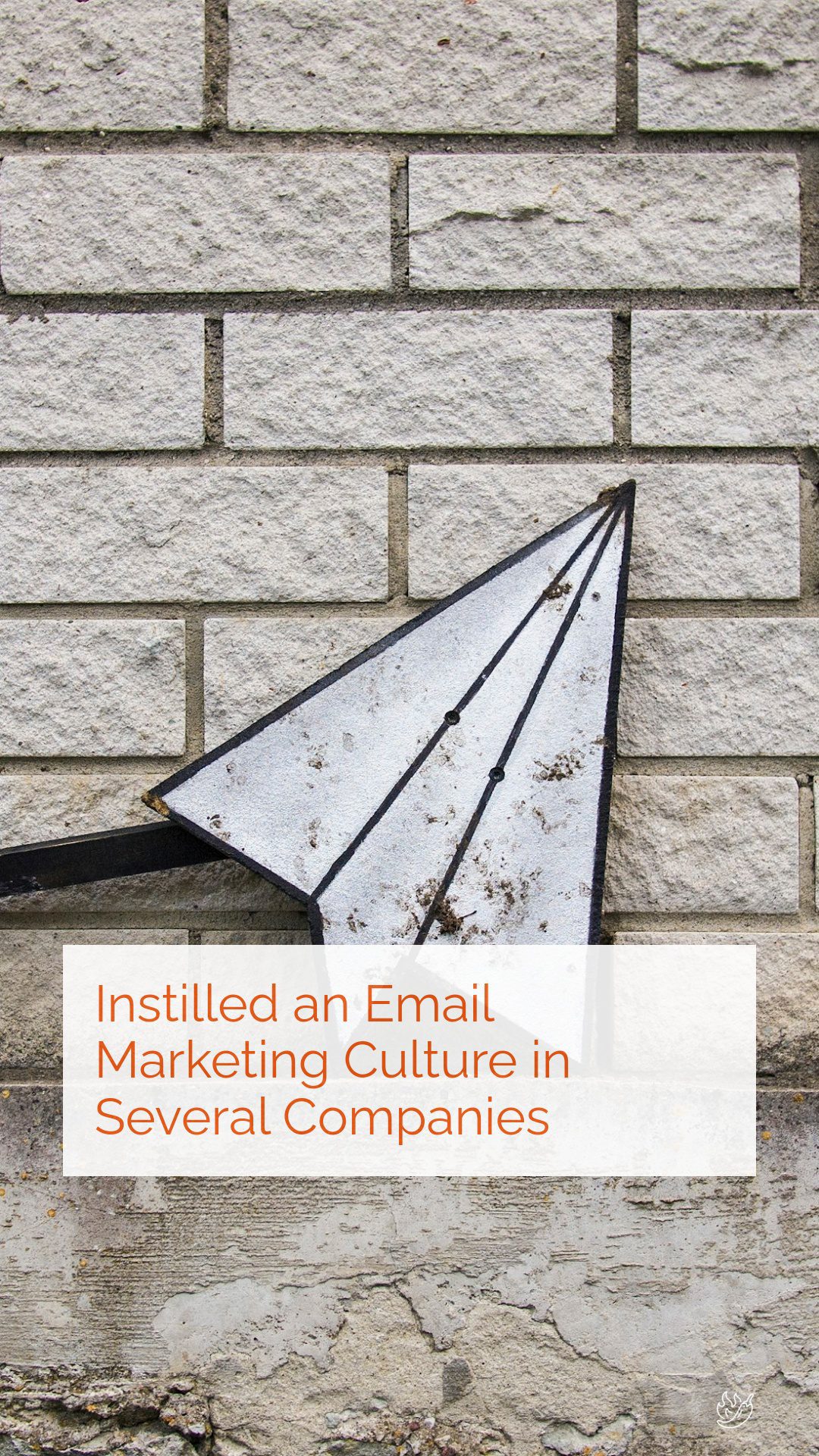Reads, "Instilled Email Marketing Culture in Several Companies."